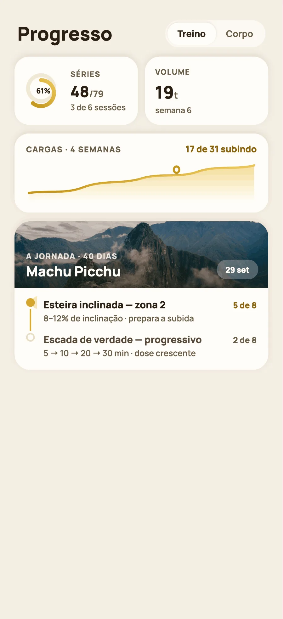 A tela de progresso, com os gráficos de volume e carga.