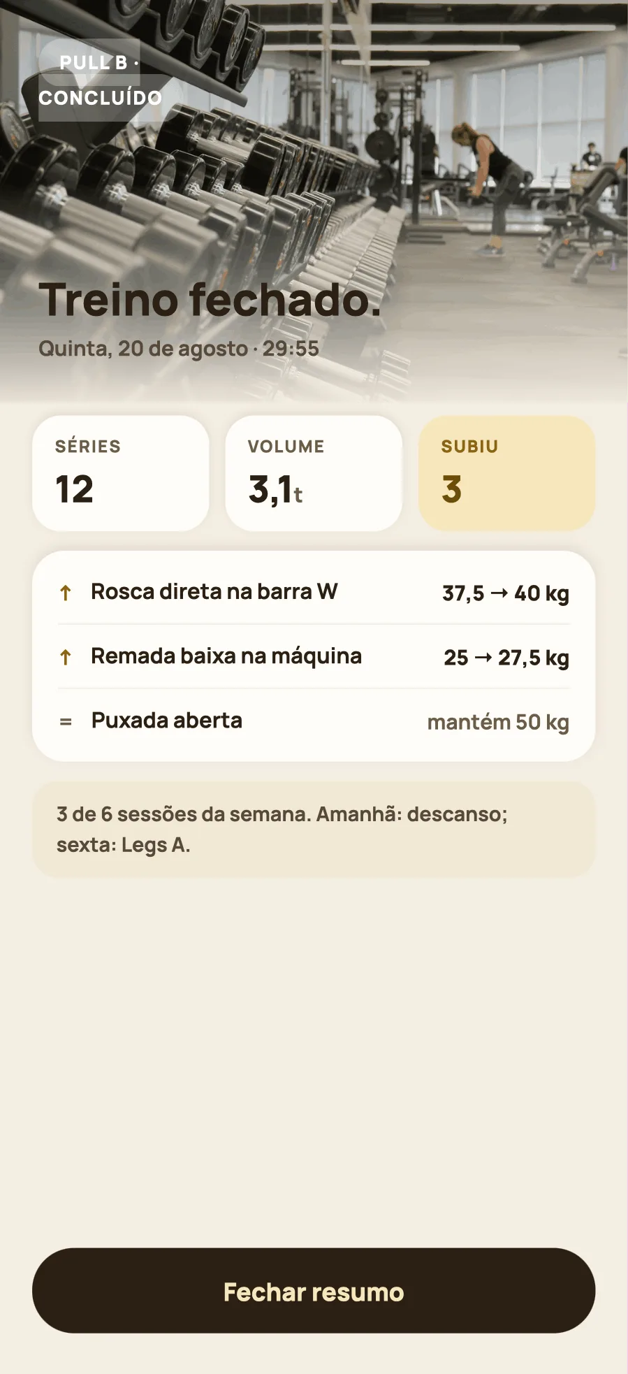 A tela de resumo do treino recém-concluído.