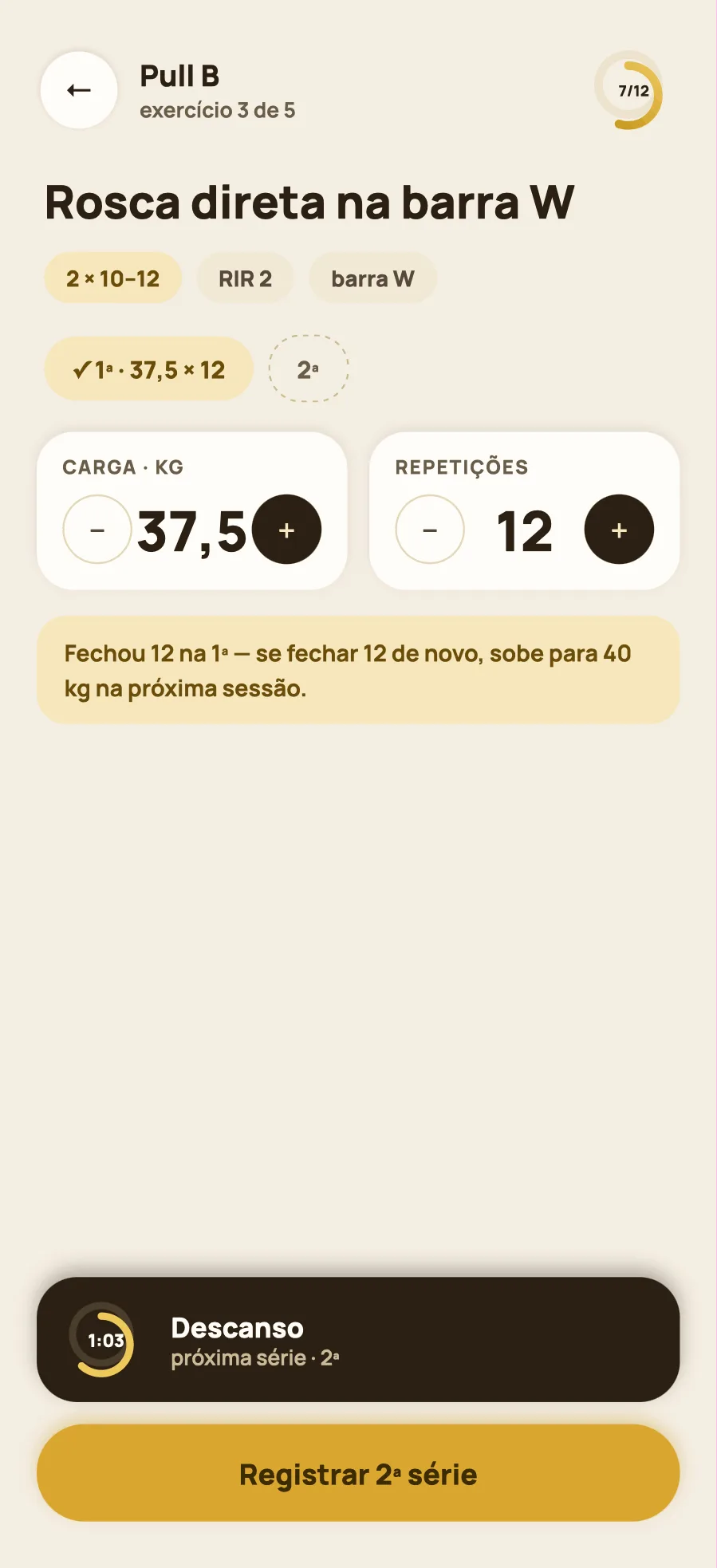 A tela da sessão em andamento, com a série do exercício pronta para registrar.